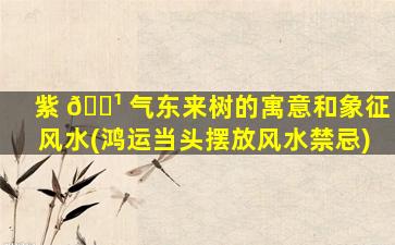 紫 🌹 气东来树的寓意和象征风水(鸿运当头摆放风水禁忌)